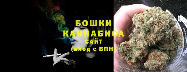 стаф Корсаков