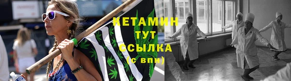 стаф Корсаков