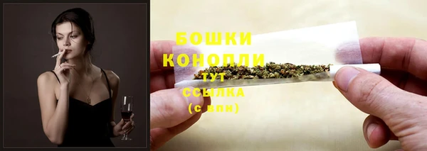 дживик Коряжма
