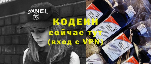 стаф Корсаков