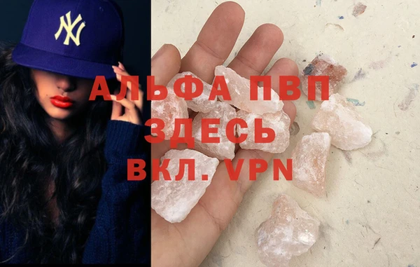 стаф Корсаков