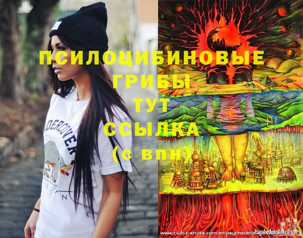 стаф Корсаков