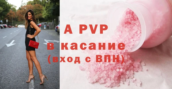 стаф Корсаков