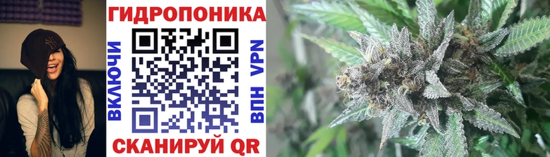 купить   ОМГ ОМГ онион  Бошки марихуана планчик  Межгорье 
